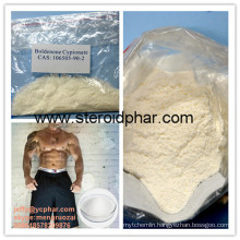 99% Purity Bodybuilding Anabolic Steroid Boldenone Cypionate (Bold Cy)